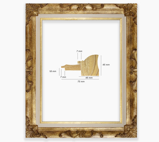 Cadre baroque a la feuille d'or antique COR227230135